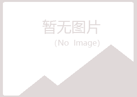 香港夏岚金属有限公司